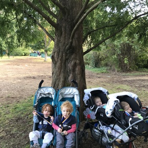 Team Page: Liam's Lions